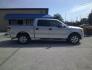2011 GRAY FORD F-150 XL; PLATINUM; (1FTEW1CM7BF) , located at 1200 Cassat Avenue, Jacksonville, FL, 32205, (904) 695-1885, 30.302404, -81.731033 - Photo#2
