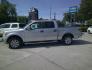 2011 GRAY FORD F-150 XL; PLATINUM; (1FTEW1CM7BF) , located at 1200 Cassat Avenue, Jacksonville, FL, 32205, (904) 695-1885, 30.302404, -81.731033 - Photo#4